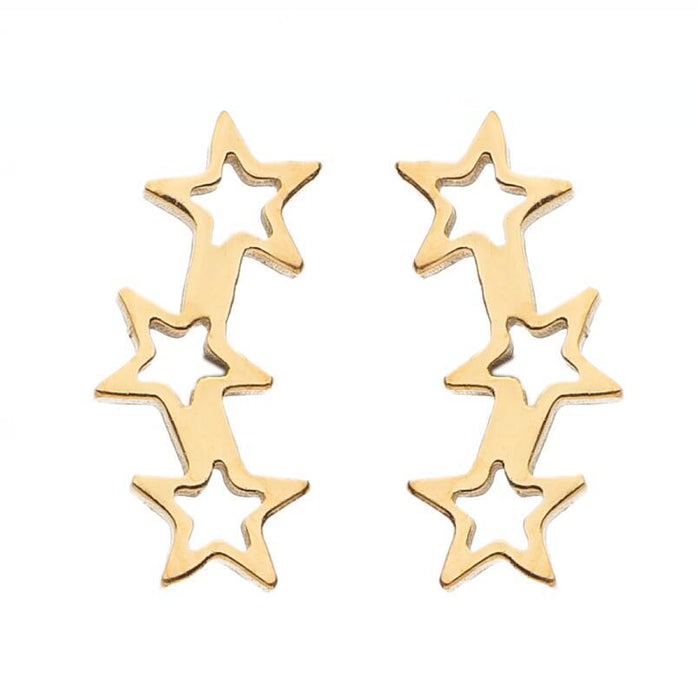 LOVE Heart and Star Stainless Steel Stud Earrings - Cute and Stylish Animal Jewelry