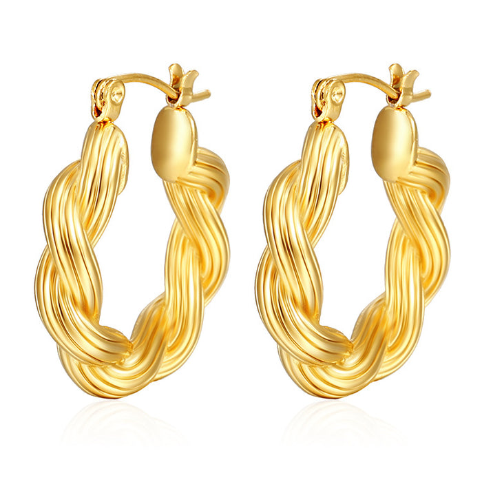 Twisted wire stainless steel earrings, Internet celebrity style casting earrings