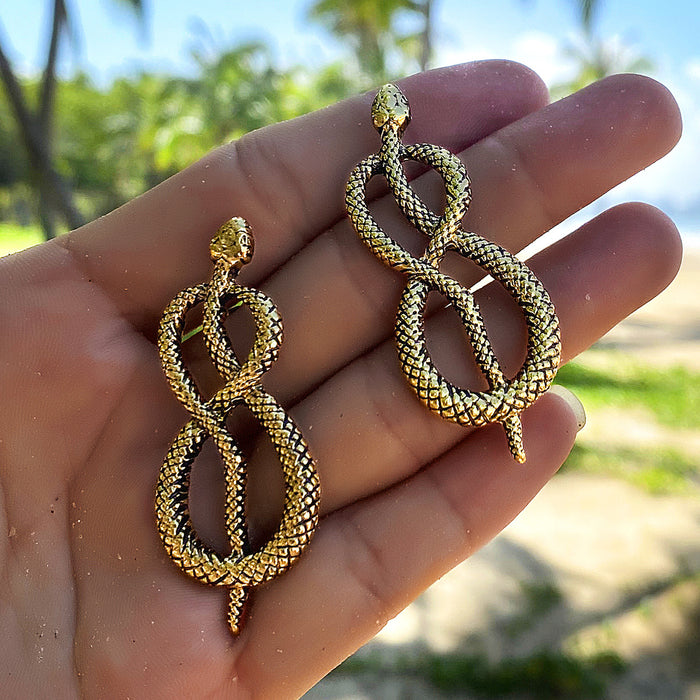 Personalized exaggerated snake earrings metal snake element earrings