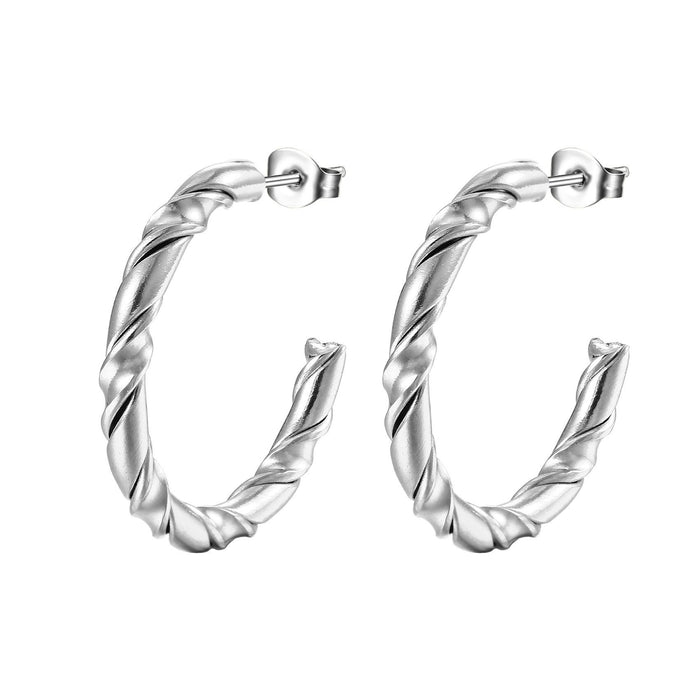 Stainless Steel Multi-Strand Twisted Wire Titanium Steel Earrings C-Shaped Earrings Set Wholesale