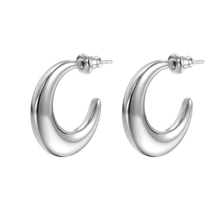 Stainless Steel Multi-Strand Twisted Wire Titanium Steel Earrings C-Shaped Earrings Set Wholesale