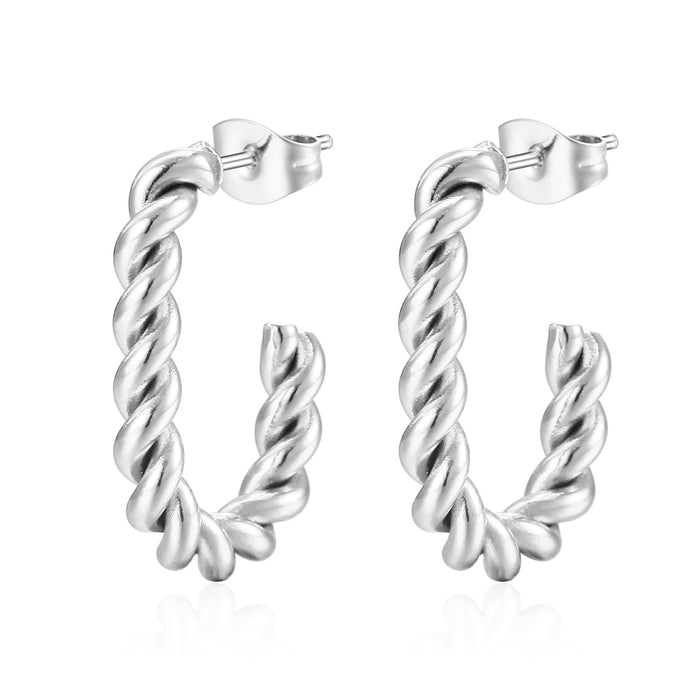 Stainless steel titanium steel irregular earrings for women simple and light luxury