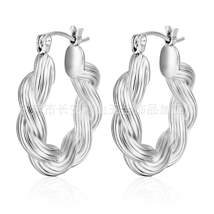 Twisted wire stainless steel earrings, Internet celebrity style casting earrings