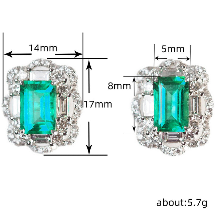 High-end noble lady earrings palace style French earrings