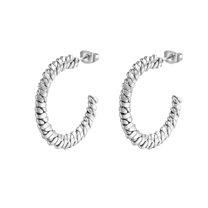 C-shaped stainless steel twisted wire titanium steel earrings for women trendy earrings