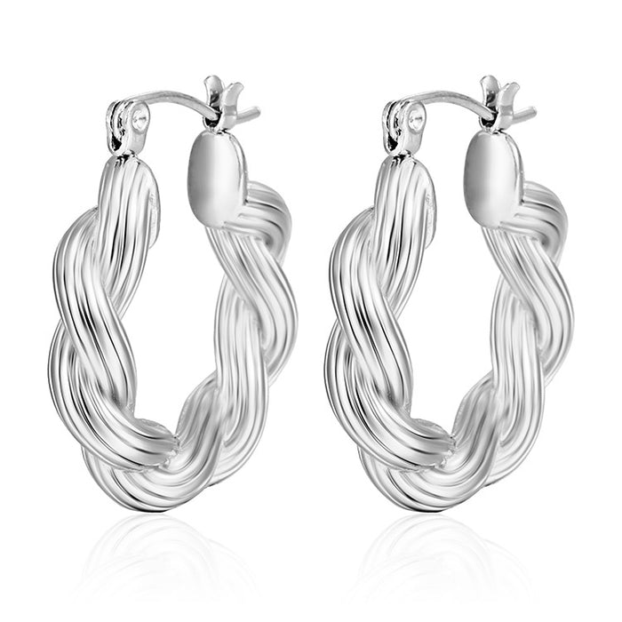 Twisted wire stainless steel earrings, Internet celebrity style casting earrings