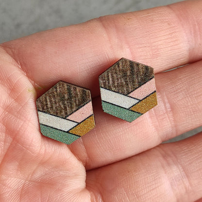 Wooden geometric earrings