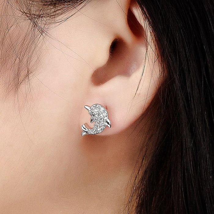 Dolphin earrings small zircon earrings for women