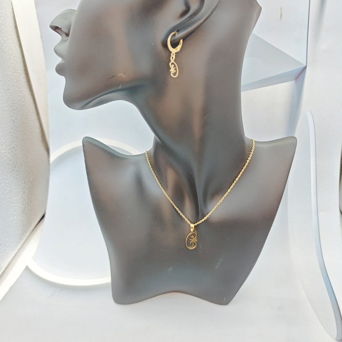Aretes plateados en forma de estrella de acero inoxidable y acero de titanio al por mayor